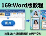 Word传单设计排版教程，新手轻松上手