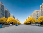 威海首创精致城市条例，做靓风情画，让人民生活更美好