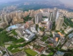全面解析VI设计：步骤、要素、实例及重要性，助你提升企业形象