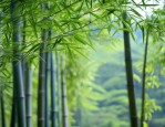 两张图片元素与尺寸相同，排版好坏决定图片质量？