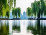 杭州西湖闻名中外的旅游胜地，你知道它的这些数据吗？