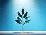 班徽设计图案大全：如何设计出独具特色的好班徽？